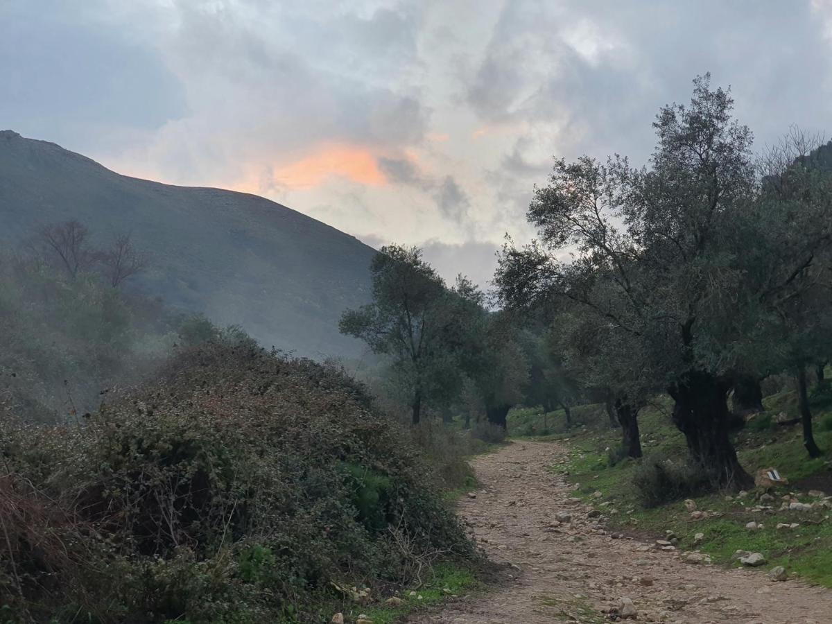 הפינה שלה -Hapina Shella ראש פינה העתיקה Villa Eksteriør bilde